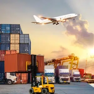 Bulk socks are shipped to your addres